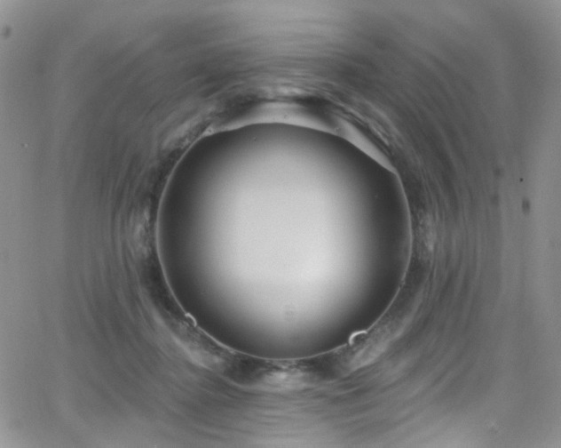 X0000062140364200512091221