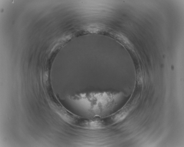 X0000062140365200512091221