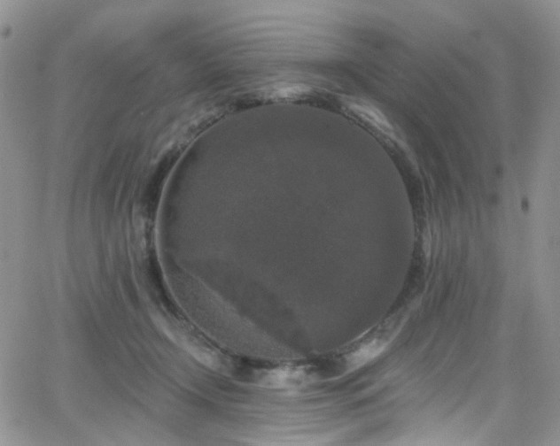 X0000062140366200512091221