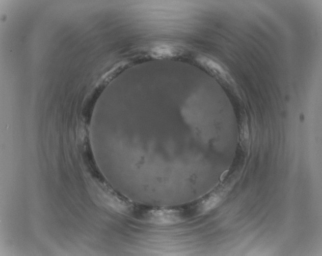 X0000062140367200512091221