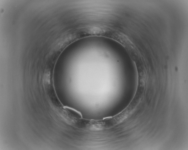 X0000062140368200512091221