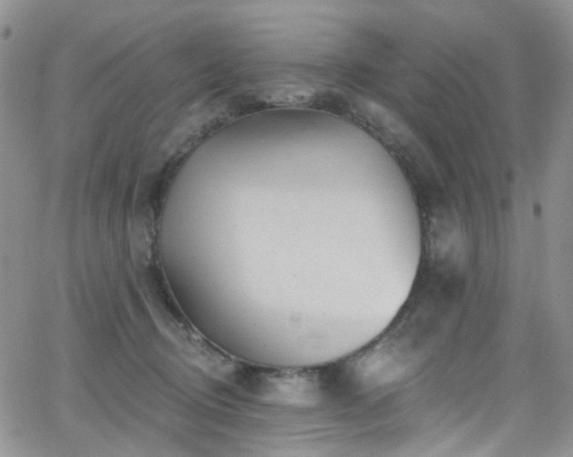 X0000062140370200512091221