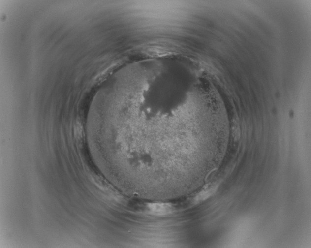 X0000062140371200512091221