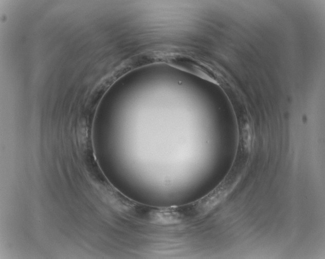 X0000062140372200512091221