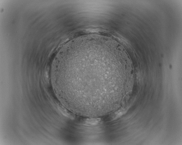 X0000062140373200512091221