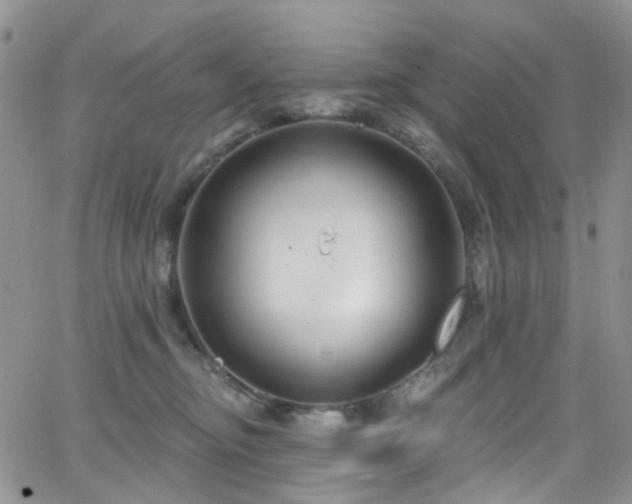 X0000062140374200512091221