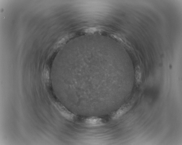 X0000062140375200512091221