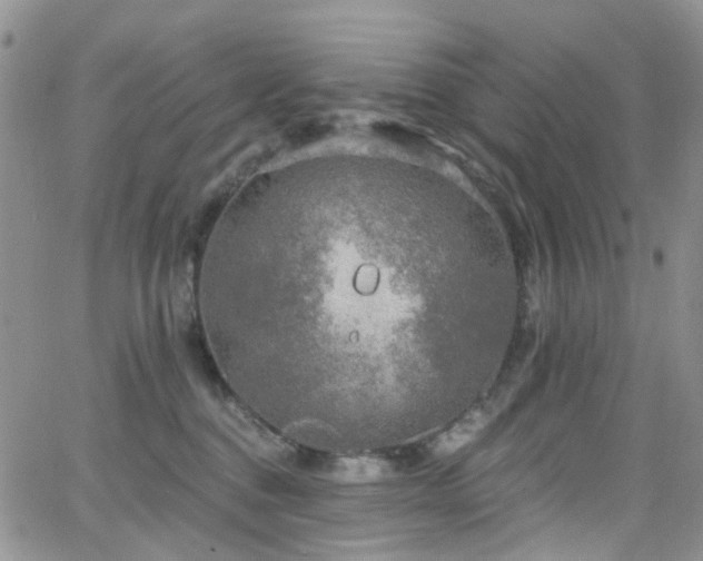 X0000062140376200512091221