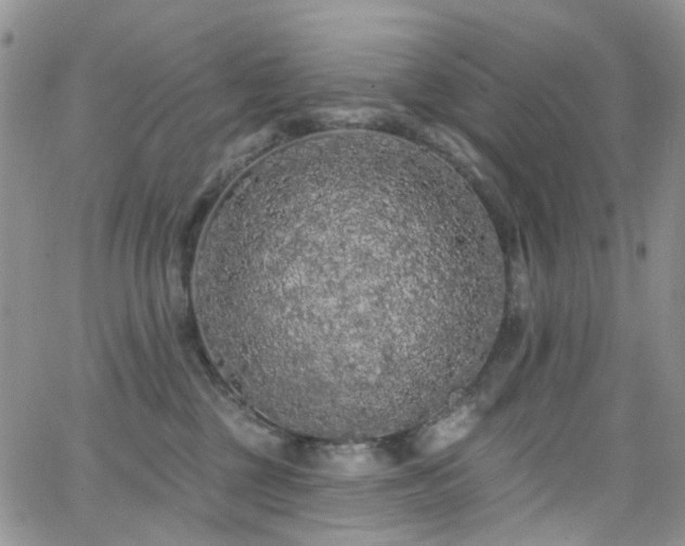 X0000062140377200512091221