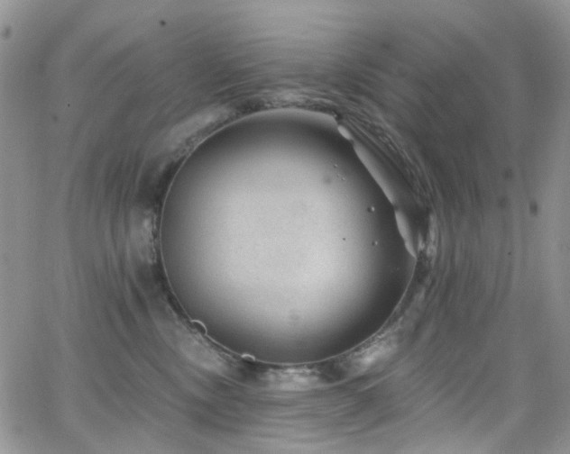 X0000062140378200512091221