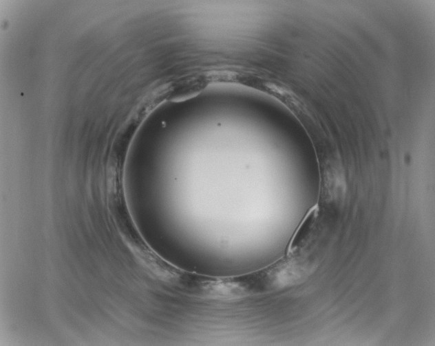 X0000062140379200512091221