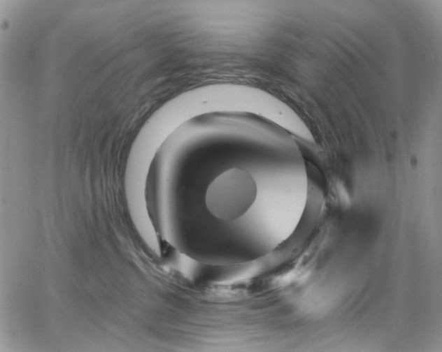 X0000062140380200512091221