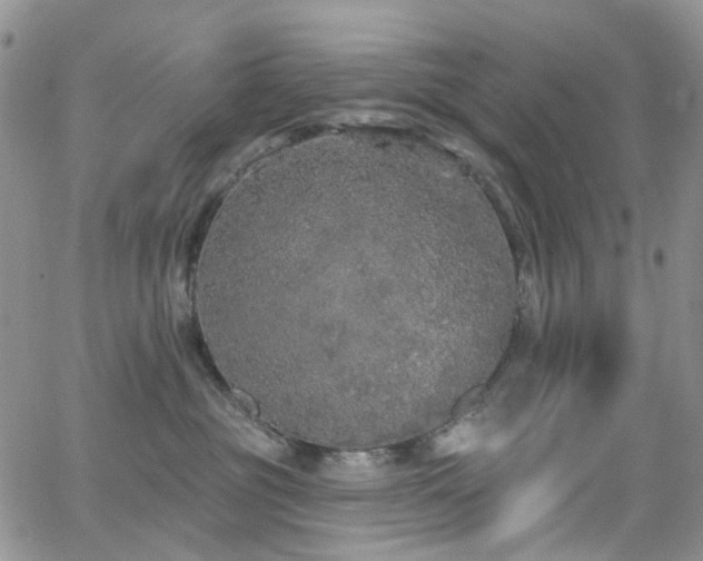 X0000062140381200512091221