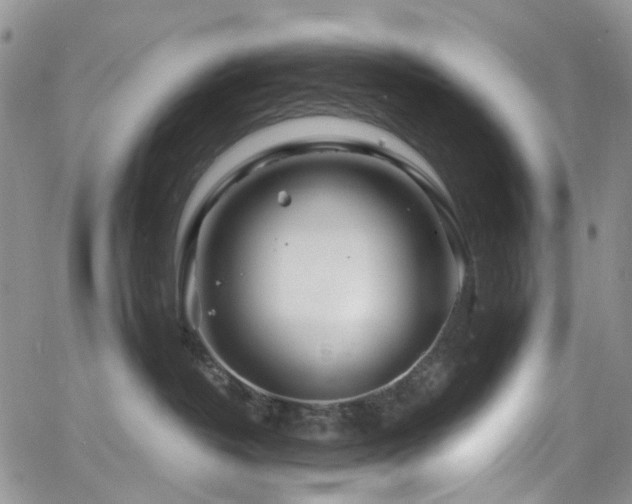 X0000062140382200512091221