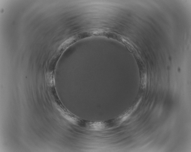 X0000062140383200512091221