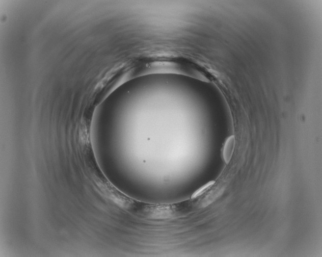 X0000062140384200512091221