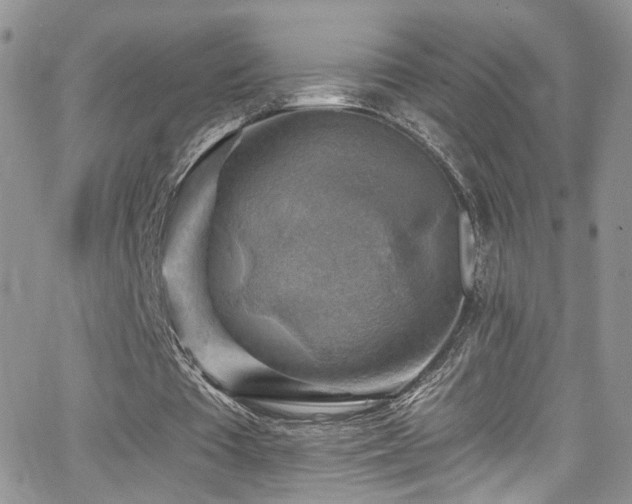 X0000062140385200512091220