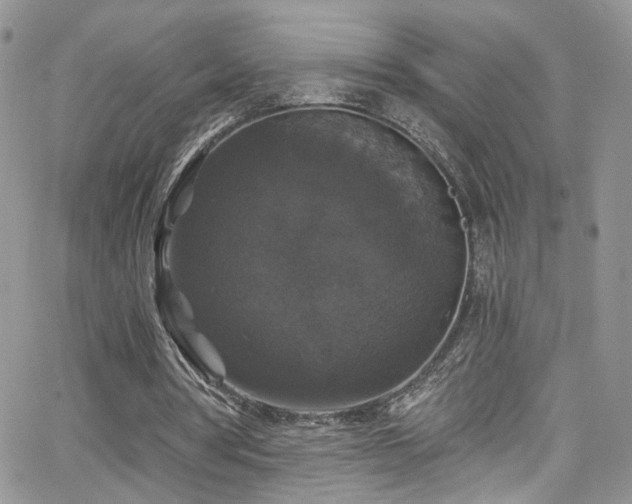 X0000062140386200512091220