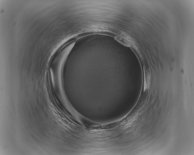 X0000062140387200512091220