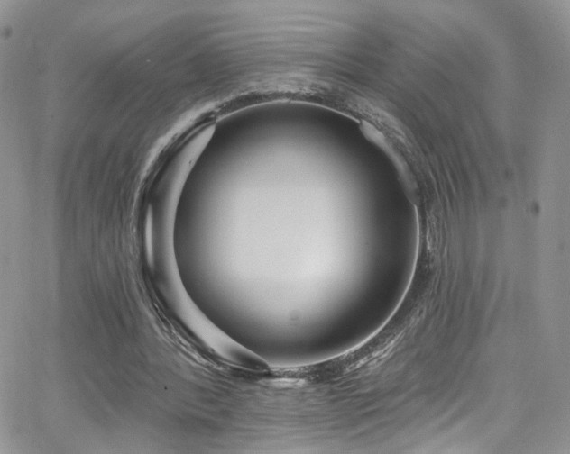 X0000062140388200512091220