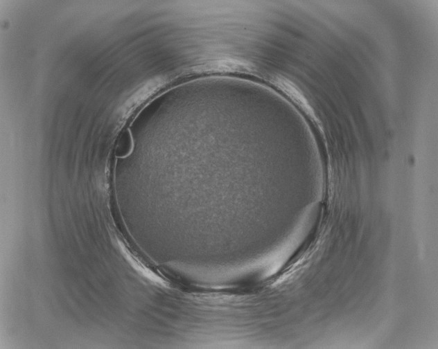 X0000062140389200512091220