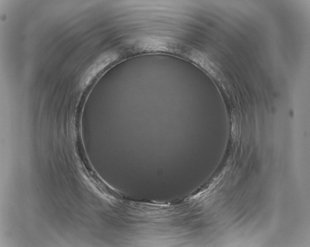 X0000062140390200512091220