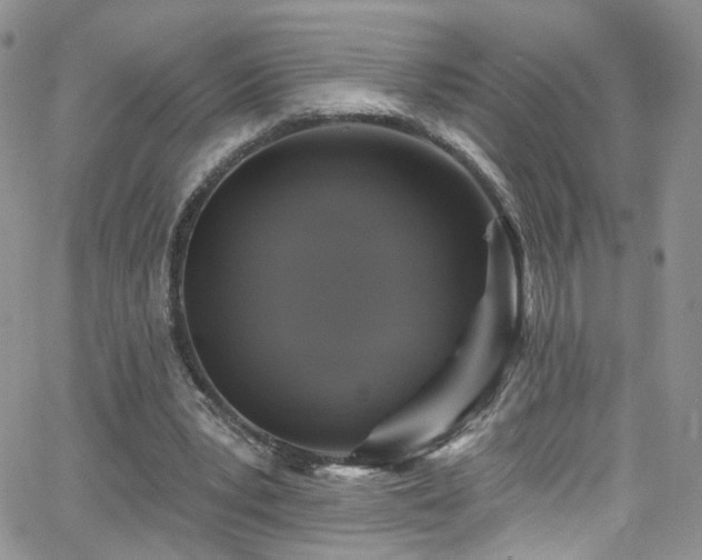 X0000062140391200512091220