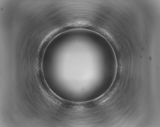 X0000062140392200512091220