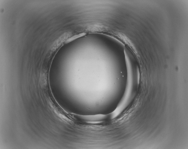 X0000062140393200512091220