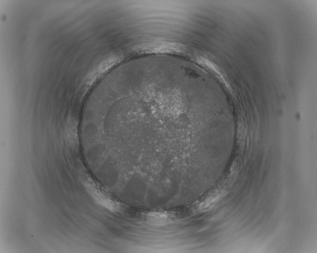 X0000062140394200512091220