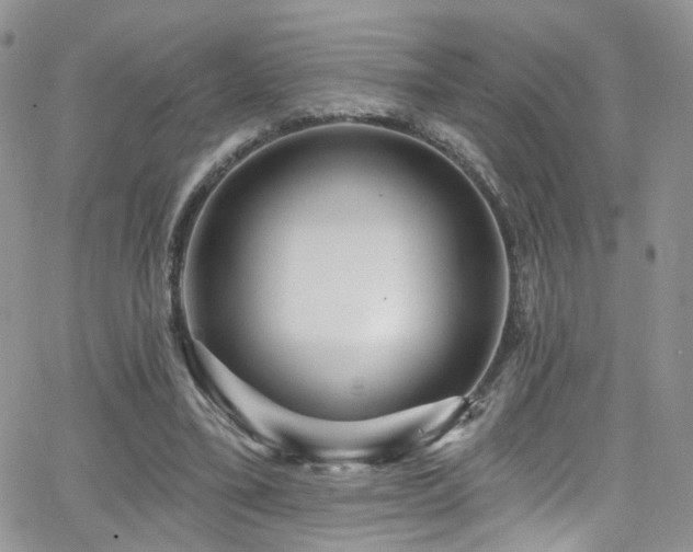 X0000062140395200512091220