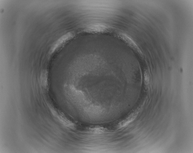 X0000062140396200512091220