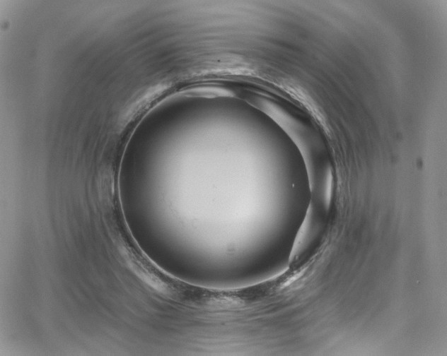 X0000062140397200512091220