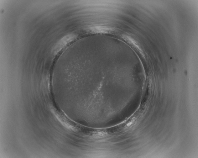 X0000062140398200512091220