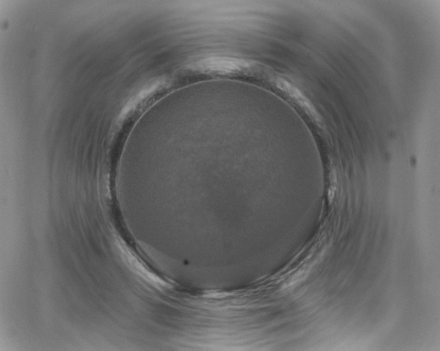 X0000062140399200512091220