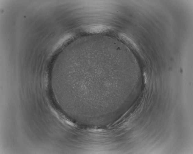 X0000062140400200512091220