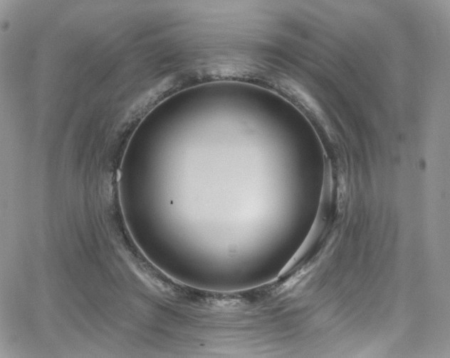 X0000062140401200512091220