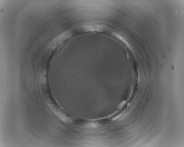 X0000062140402200512091220