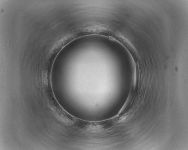 X0000062140403200512091220