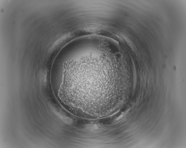 X0000062140404200512091220