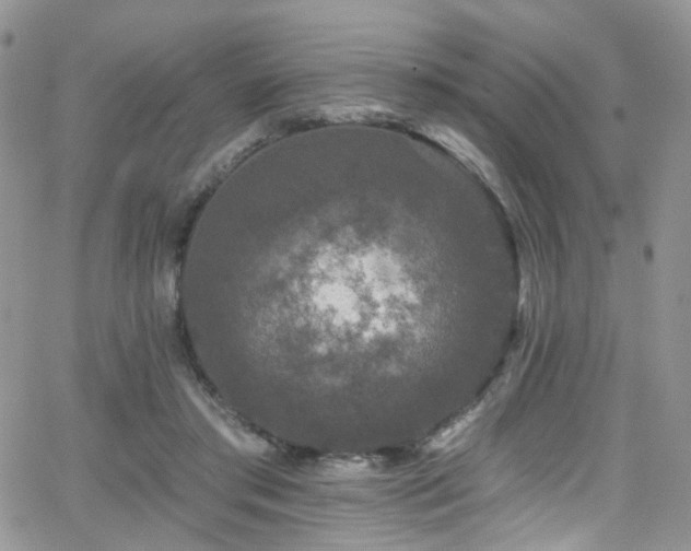 X0000062140405200512091220