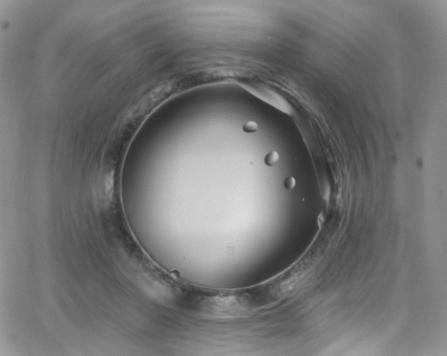 X0000062140406200512091220