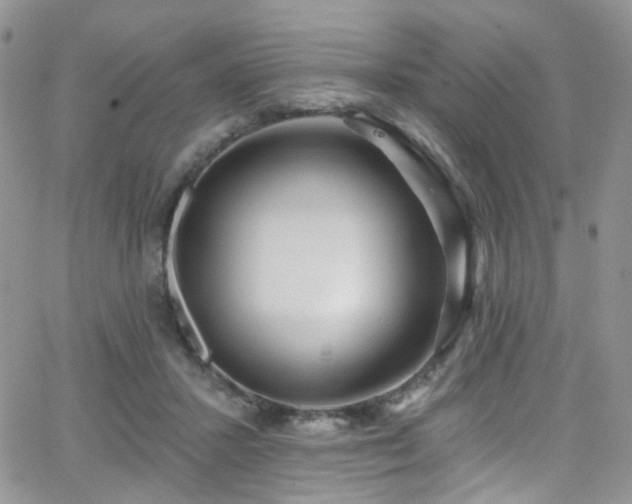 X0000062140407200512091220