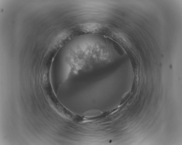 X0000062140408200512091220