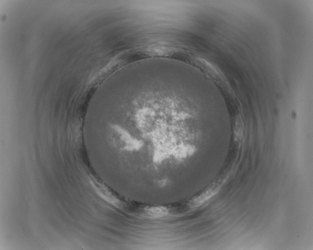 X0000062140409200512091220