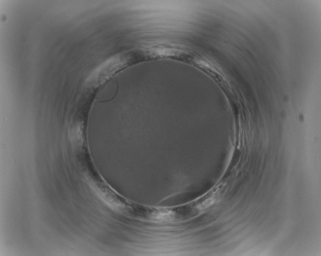 X0000062140410200512091220