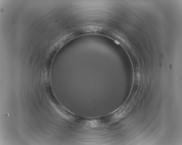 X0000062140411200512091220