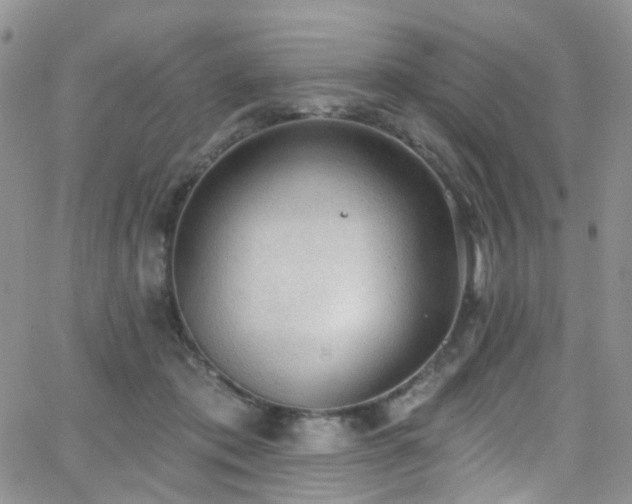 X0000062140413200512091220