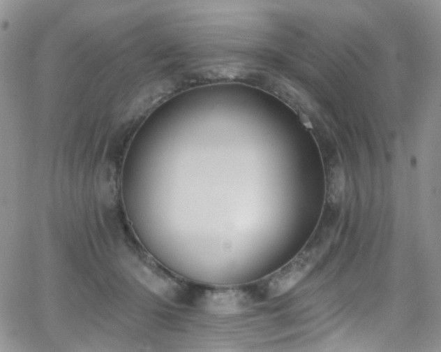 X0000062140414200512091220