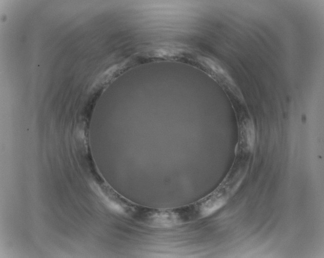 X0000062140415200512091220